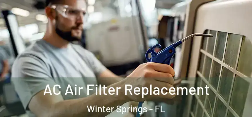 AC Air Filter Replacement Winter Springs - FL