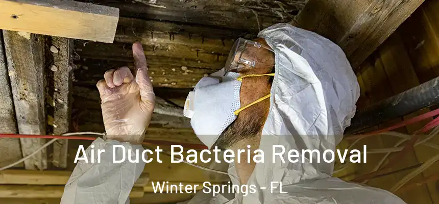  Air Duct Bacteria Removal Winter Springs - FL