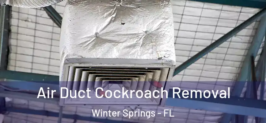  Air Duct Cockroach Removal Winter Springs - FL