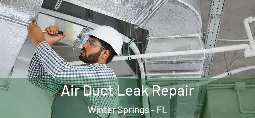  Air Duct Leak Repair Winter Springs - FL