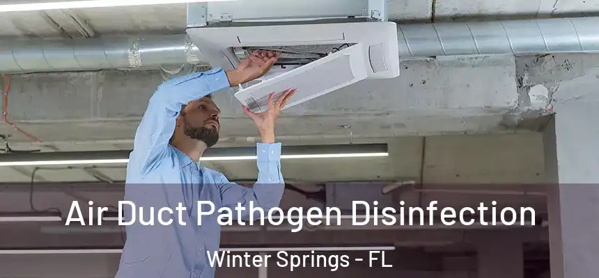 Air Duct Pathogen Disinfection Winter Springs - FL