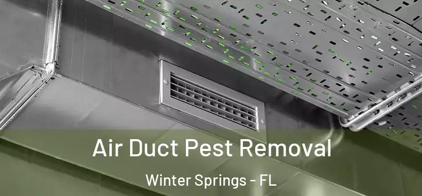  Air Duct Pest Removal Winter Springs - FL