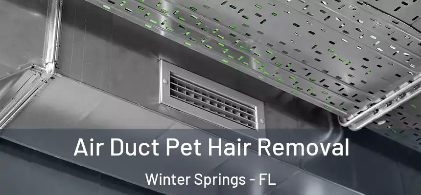  Air Duct Pet Hair Removal Winter Springs - FL