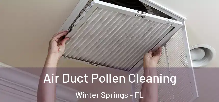  Air Duct Pollen Cleaning Winter Springs - FL