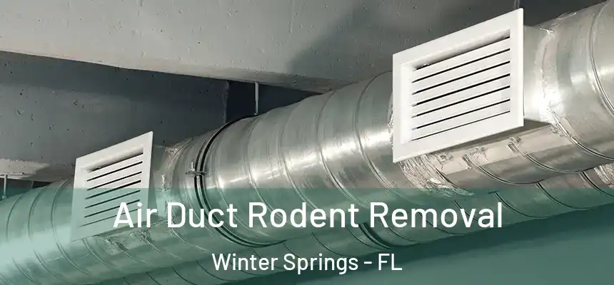  Air Duct Rodent Removal Winter Springs - FL