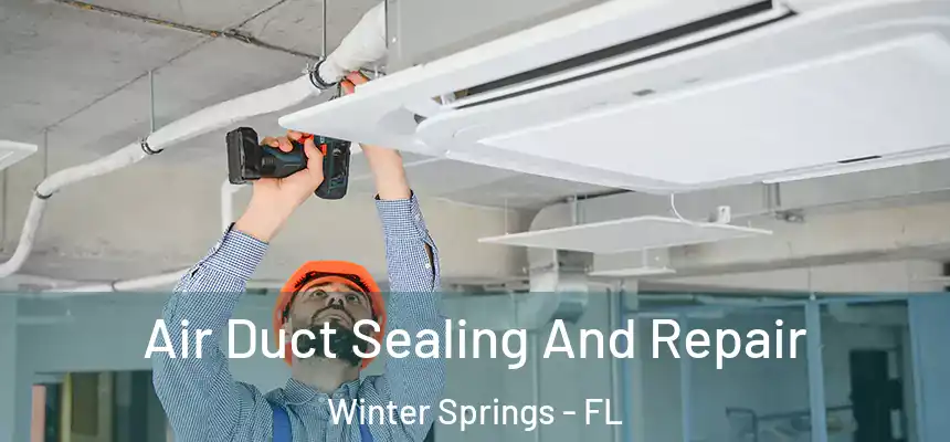 Air Duct Sealing And Repair Winter Springs - FL