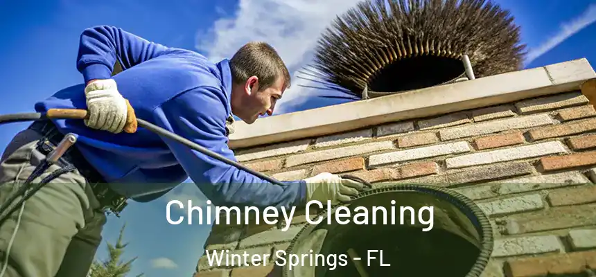  Chimney Cleaning Winter Springs - FL