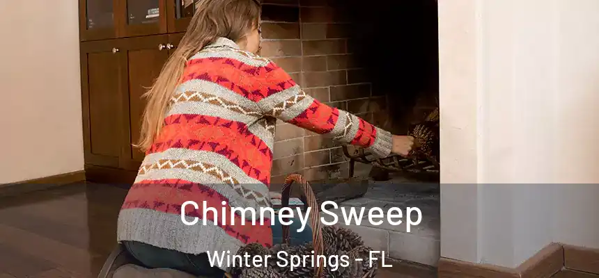 Chimney Sweep Winter Springs - FL