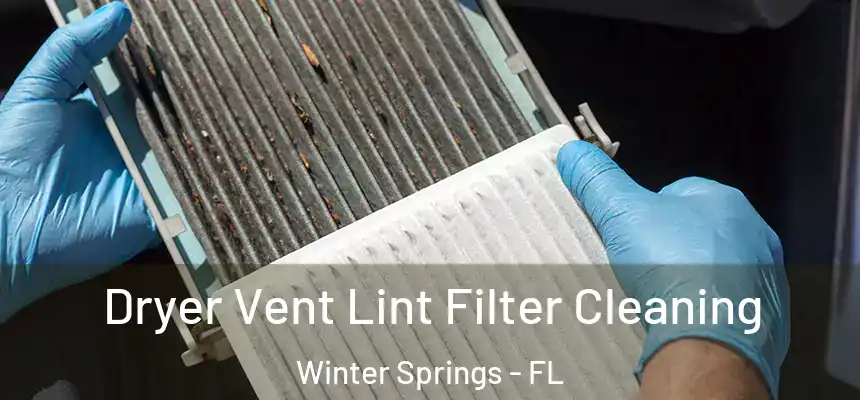  Dryer Vent Lint Filter Cleaning Winter Springs - FL