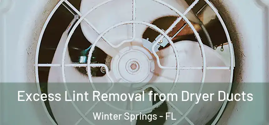 Excess Lint Removal from Dryer Ducts Winter Springs - FL
