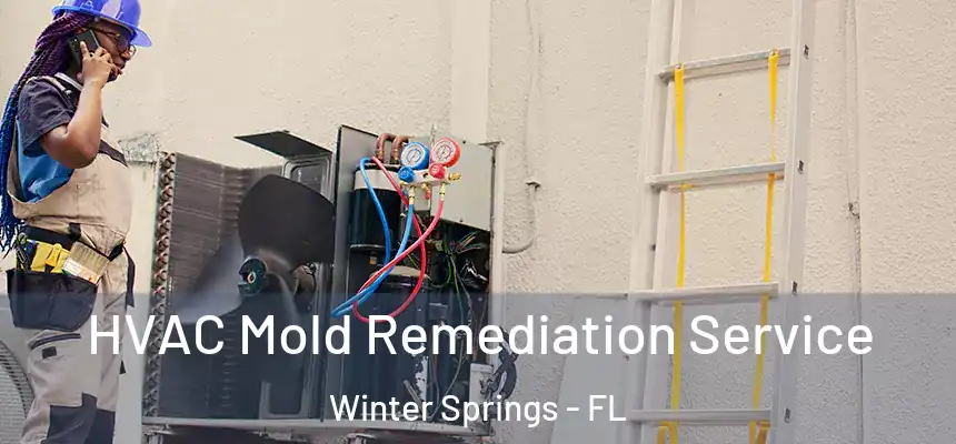  HVAC Mold Remediation Service Winter Springs - FL