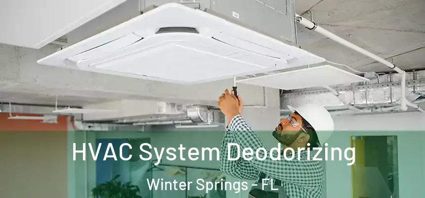 HVAC System Deodorizing Winter Springs - FL
