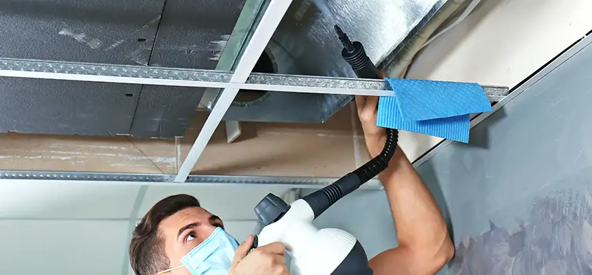 Our Air Duct Rodent Removal Services in Winter Springs, FL