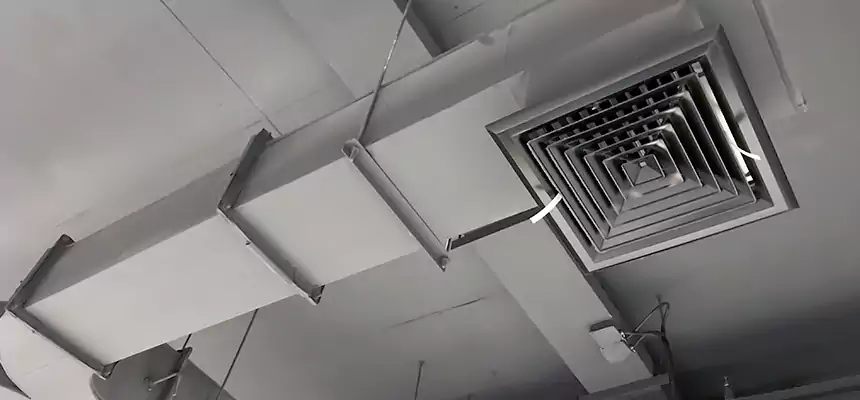 Restorative Allergy Relief Vent Cleaning – Coil, Blower & Housing Detail in Winter Springs