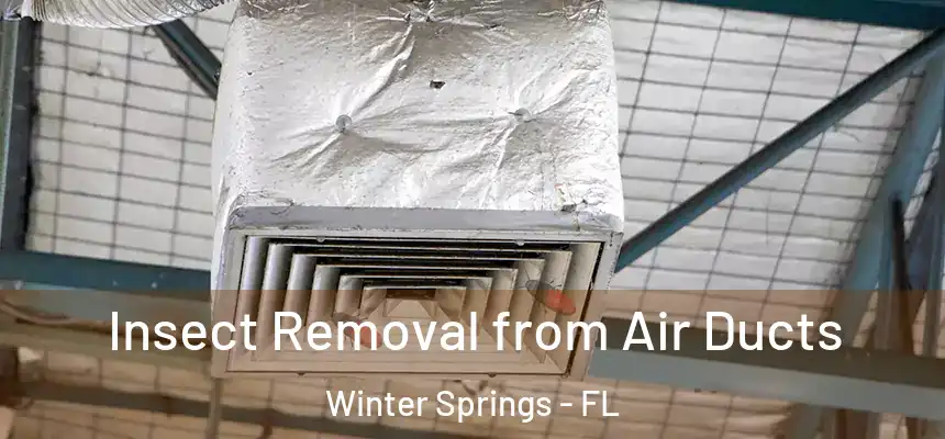 Insect Removal from Air Ducts Winter Springs - FL