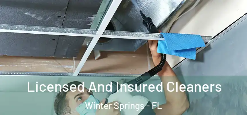 Licensed And Insured Cleaners Winter Springs - FL