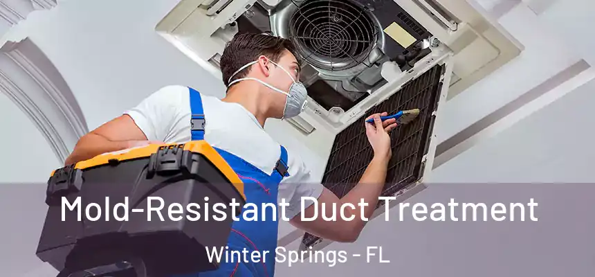  Mold-Resistant Duct Treatment Winter Springs - FL