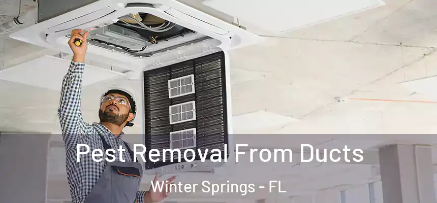 Pest Removal From Ducts Winter Springs - FL