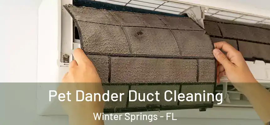  Pet Dander Duct Cleaning Winter Springs - FL