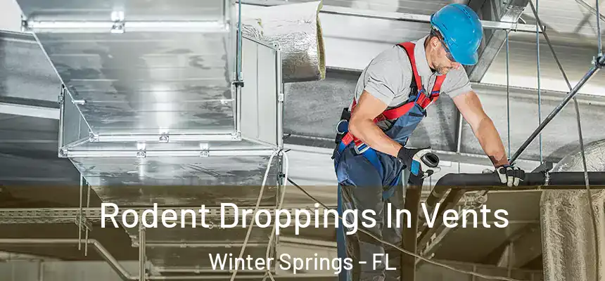 Rodent Droppings In Vents Winter Springs - FL