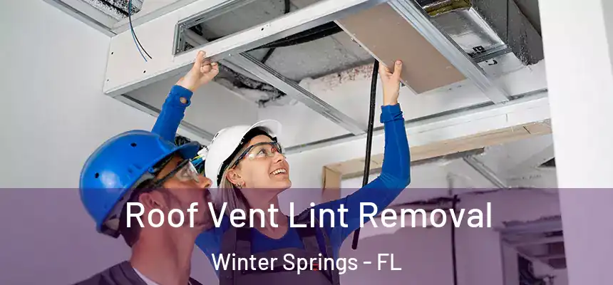 Roof Vent Lint Removal Winter Springs - FL
