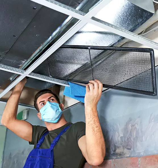 About Air Duct Bacteria Removal in Winter Springs