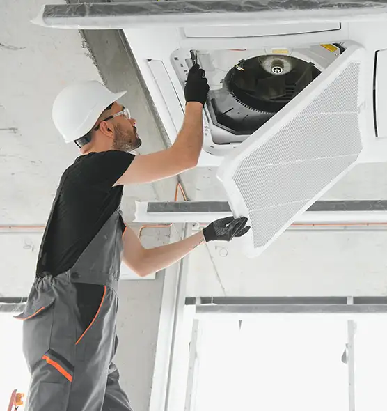 About Air Duct Rodent Removal in Winter Springs, FL