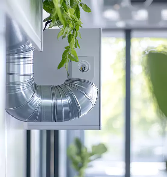 Professional Eco-Safe Dryer Vent Cleaning in Winter Springs, FL