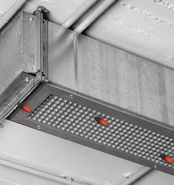 Affordable Insect Removal from Air Ducts in Winter Springs, FL