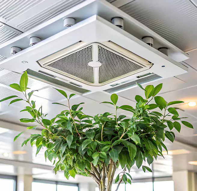 Why Homeowners & Businesses Trust Us in Winter Springs, FL