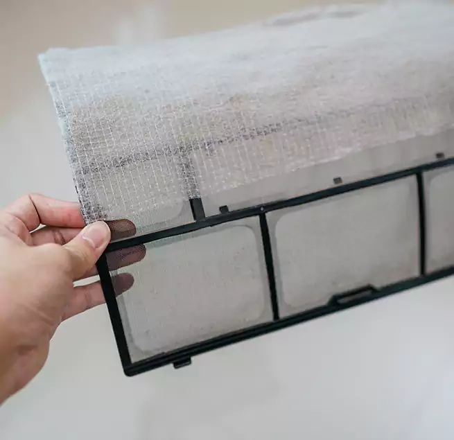 Why Homeowners & Businesses Trust Us in Winter Springs, FL?