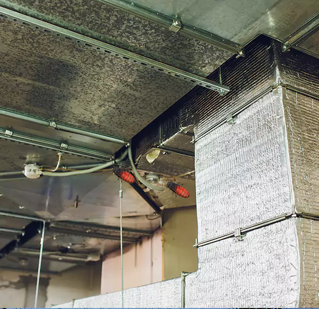 Why Homeowners & Businesses Trust Us Winter Springs, FL?