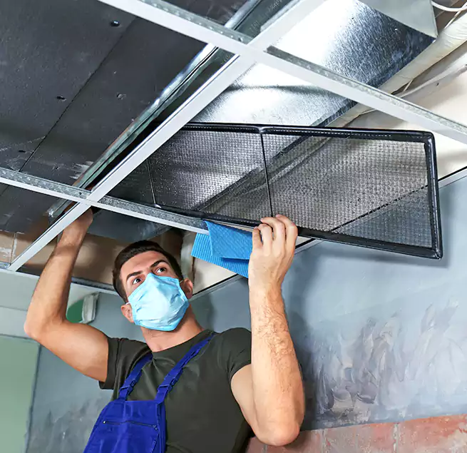 Why Homeowners Businesses Trust Us in Winter Springs, FL